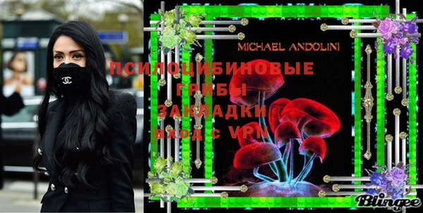 PSILOCYBIN Арсеньев