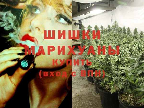 PSILOCYBIN Арсеньев